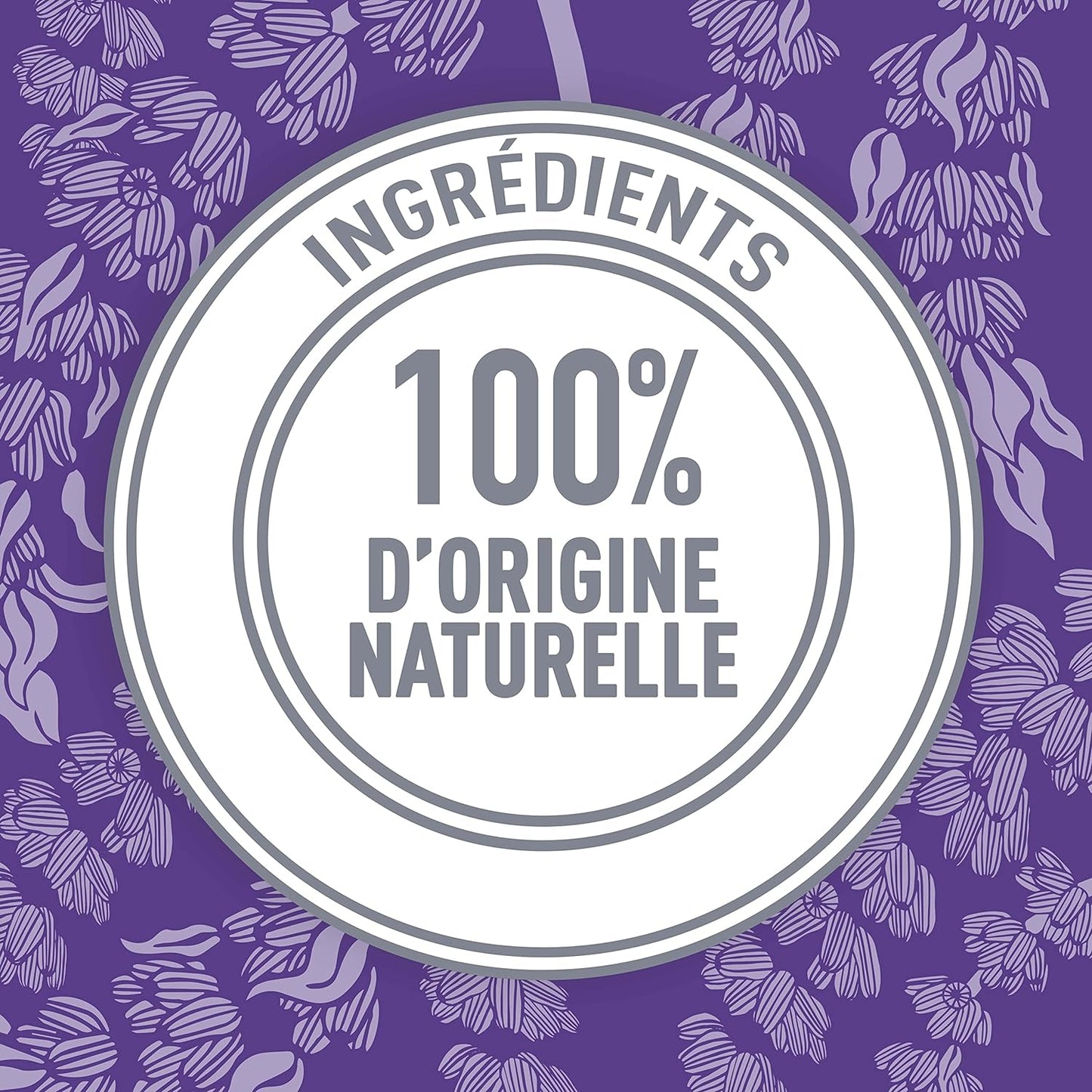 Lavender & Sage Deodorant Stick - 24-Hour Aluminium-Free Protection for All Day Freshness, 75g