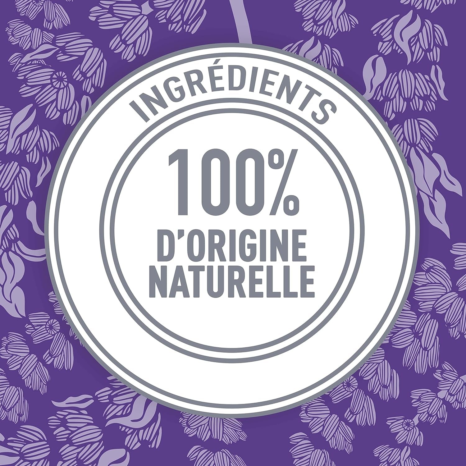 Lavender & Sage Deodorant Stick - 24-Hour Aluminium-Free Protection for All Day Freshness, 75g