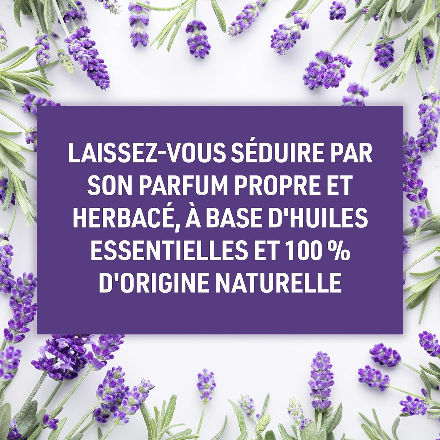 Lavender & Sage Deodorant Stick - 24-Hour Aluminium-Free Protection for All Day Freshness, 75g
